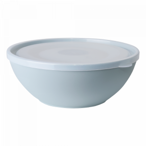 Bowl with lid 2L. (segebrush / transparent)