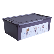 Container "Smart Box" with decor 11,7L (purple, Girls)