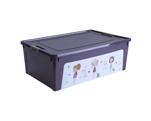 Container "Smart Box" with decor 11,7L (purple, Girls)