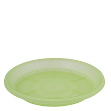 Tray for drainage 18,0x13,5cm (light green transparent)