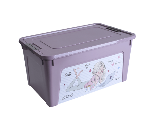 Container "Smart Box" with decor 27L (freesia, Girls)