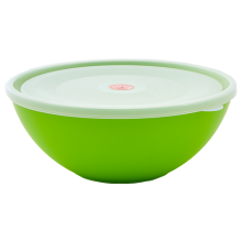 Bowl with lid 2L (olive / transparent)