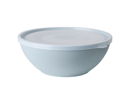 Bowl with lid 3L (segebrush / transparent)