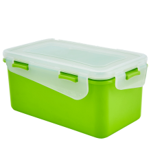 Universal container "Fiesta" rectangular 0,65L (olive / transparent)