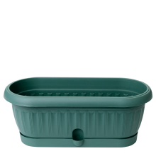 Flowerpot "Terra" with tray cactus 31,5x11,0cm (green)