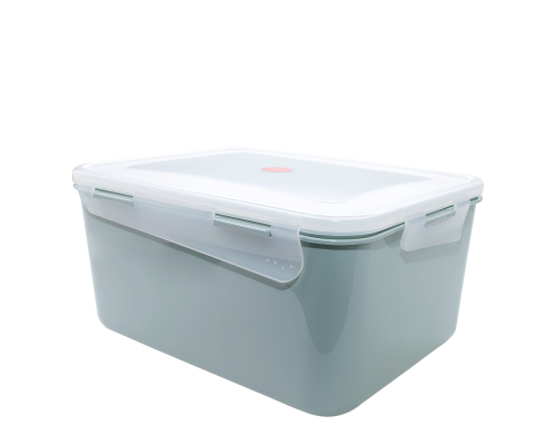 Universal container "Fiesta" rectangular 6,0L (segebrush / transparent)