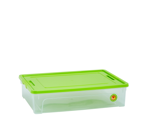 Container "Smart Box" 0,175L (transparent / olive / olive)